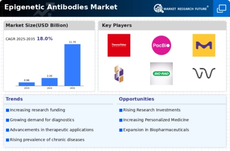 Epigenetic Antibodies Market Infographic