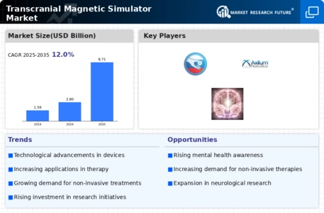 Transcranial Magnetic Simulator Market Infographic