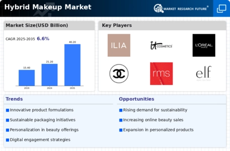 Hybrid Makeup Market Infographic
