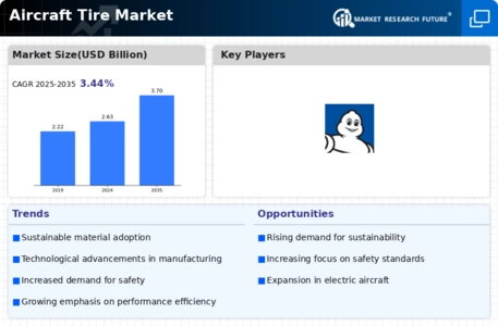Aircraft Tire Market Infographic