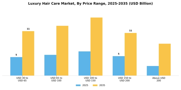 Luxury Hair Care Market Segment Image 1