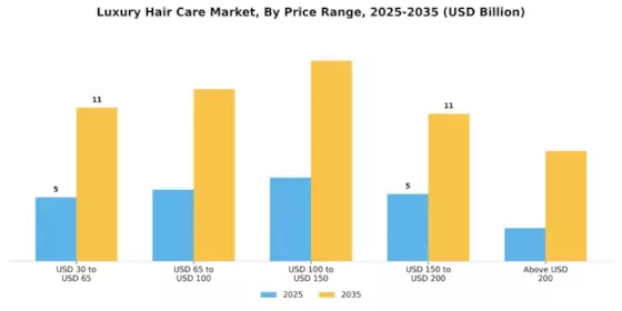 Luxury Hair Care Market Segment Image 1