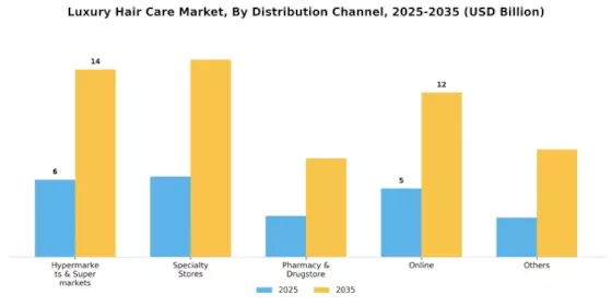 Luxury Hair Care Market Segment Image 2
