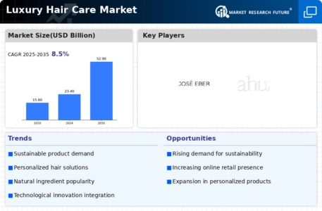 Luxury Hair Care Market Infographic