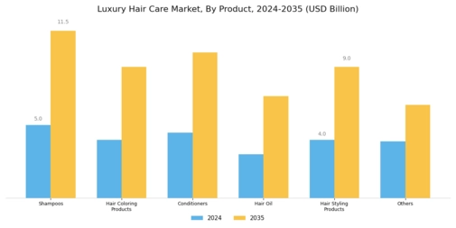 Luxury Hair Care Market Segment Image 0