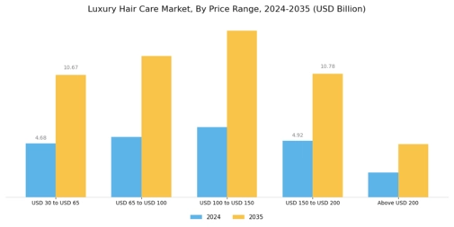 Luxury Hair Care Market Segment Image 1