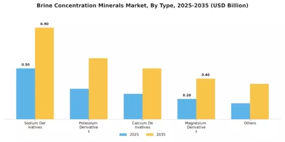 Brine Concentration Minerals Market Segment Image 0