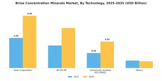 Brine Concentration Minerals Market Segment Image 1