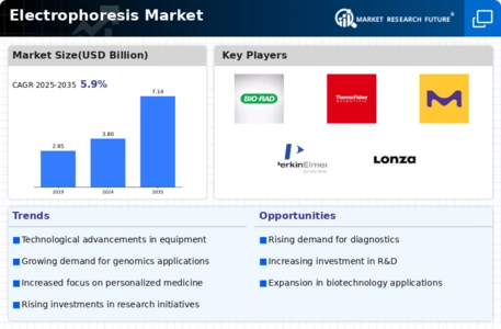 Electrophoresis Market Infographic