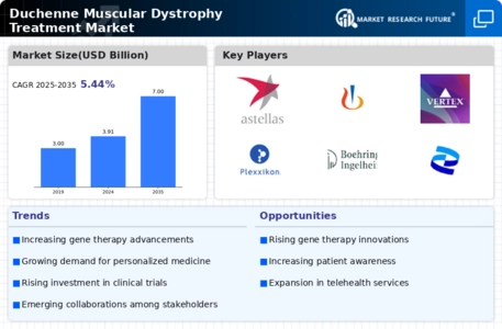 Duchenne Muscular Dystrophy Treatment Market Infographic