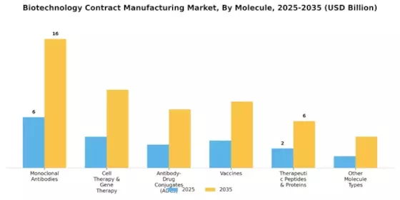 Biotechnology Contract Manufacturing Market Segment Image 4