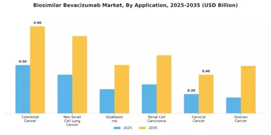 Biosimilar Bevacizumab Market Segment Image 1