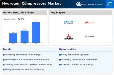 Hydrogen Compressors Market Infographic