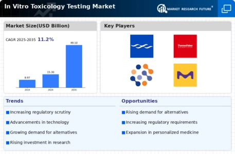 In Vitro Toxicology Testing Market Infographic