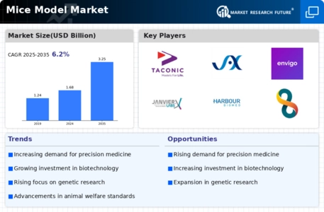 Mice Model Market Infographic