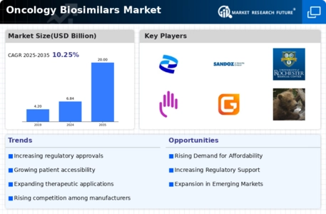 Oncology Biosimilars Market Infographic