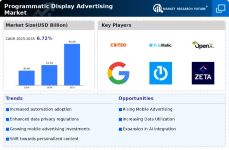 Programmatic Display Advertising Market Infographic