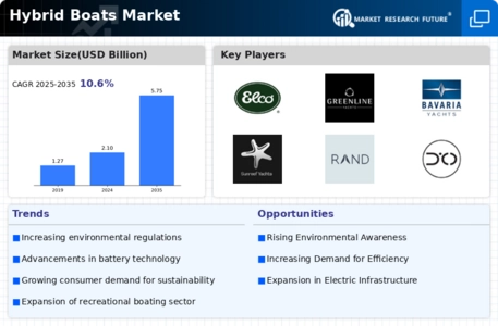 Hybrid Boats Market Infographic