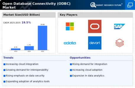 Open Database Connectivity Market Infographic