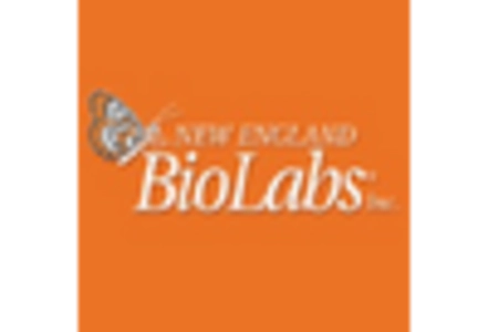 Cell-free Protein Expression Market key player