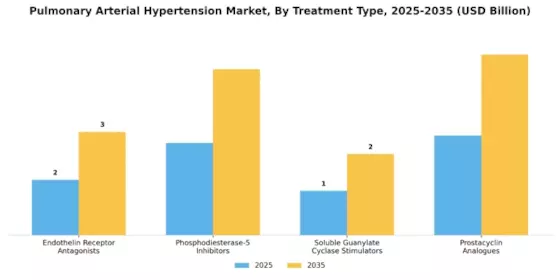 Pulmonary Arterial Hypertension Market Segment Image 0