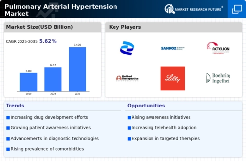 Pulmonary Arterial Hypertension Market Infographic