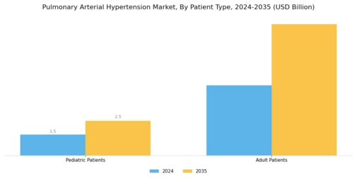 Pulmonary Arterial Hypertension Market Segment Image 2