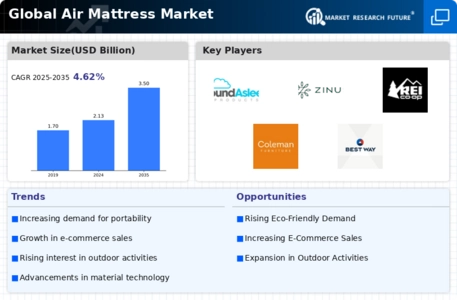 Air Mattress Market Infographic