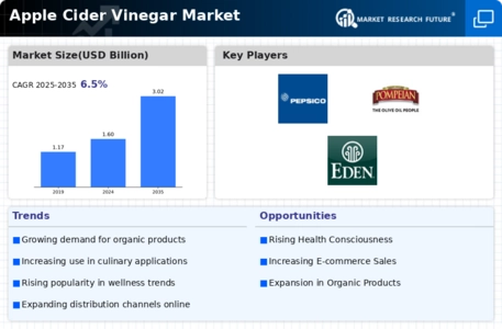 Apple Cider Vinegar Market Infographic
