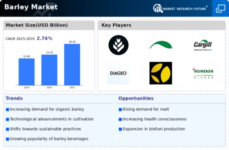 Barley Market Infographic