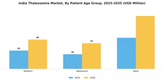 India Thalassemia Market Segment Image 1