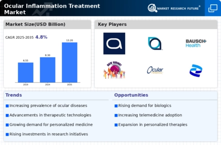 Ocular Inflammation Treatment Market Infographic