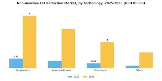 Non invasive Fat Reduction Market Segment Image 0