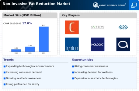 Non invasive Fat Reduction Market Infographic