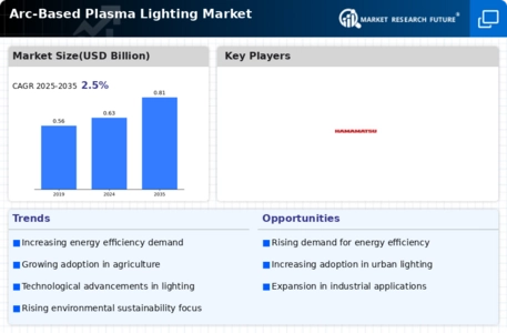 Arc Based Plasma Lighting Market Infographic