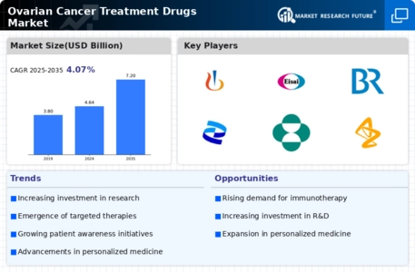 Ovarian Cancer Treatment Drugs Market Infographic