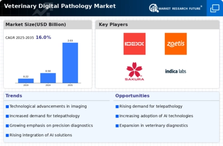 Veterinary Digital Pathology Market Infographic Veterinary Digital Pathology Market Infographic