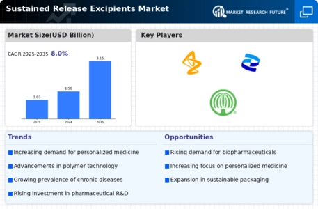 Sustained release excipients Market Infographic