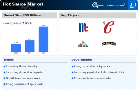 Hot Sauce Market Infographic