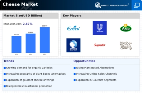 Cheese Market Infographic
