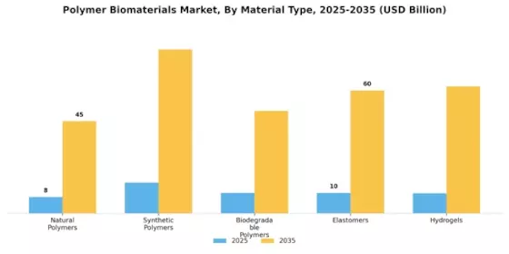 Polymer Biomaterials Market Segment Image 1