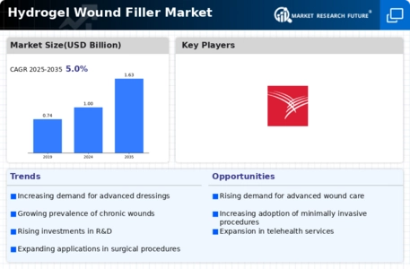 Hydrogel Wound Filler Market Infographic