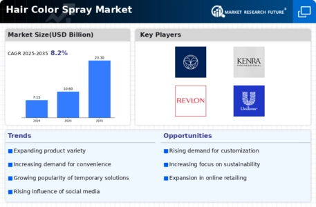 Hair Color Spray Market Infographic