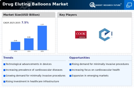 Drug Eluting Balloons Market Infographic
