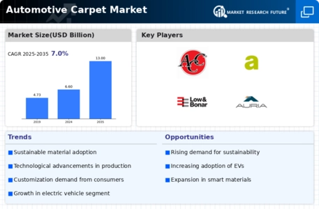 Automotive Carpet Market Infographic
