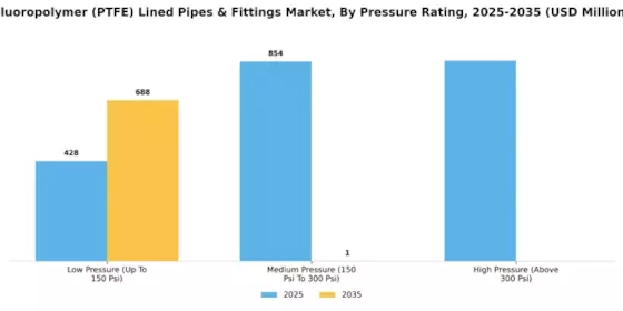 Fluoropolymer Lined Pipes Fittings Market Segment Image 3