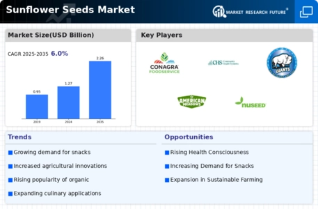 Sunflower Seeds Market Infographic