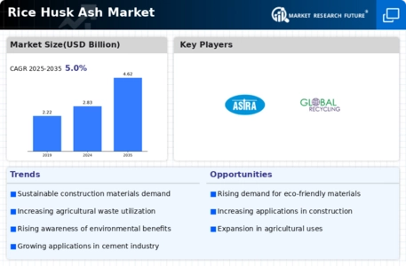 Rice Husk Ash Market Infographic