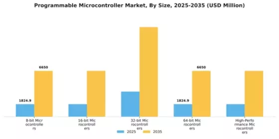 Programmable Microcontroller Market Segment Image 3