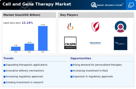 Cell Gene Therapy Market Infographic